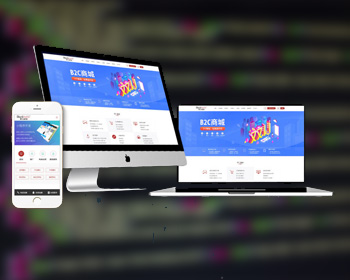 外貿B2B網站定制